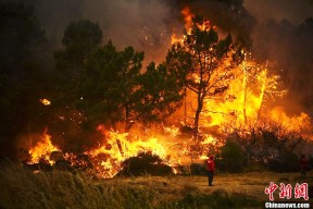 满冠体育客户端-包含葡萄牙战平德国，居首困境愈演愈烈的词条